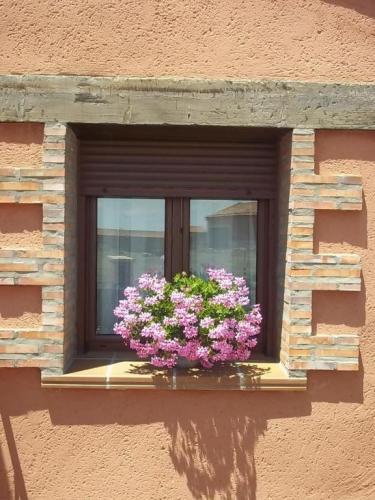 Apartamentos Turisticos La Fuensanta Cella Pokoj fotografie